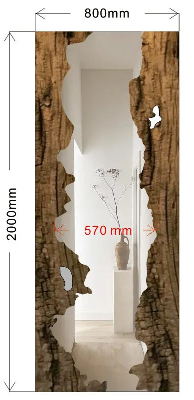 Wooden door with measurements and details on a white background