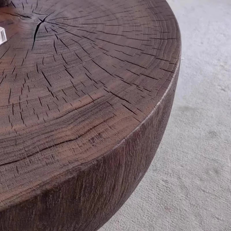 Close-up of a dark wooden log on a light gray surface