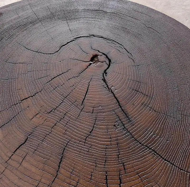 Close-up of a tree stump with visible growth rings and a crack.