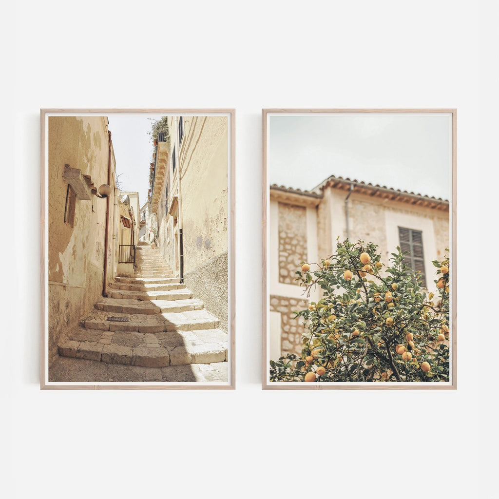 2pcs/set Neutral Olive Tree Shadow Vase Canvas Print Poster Retro Botanical Landscape Art Print Home Decor Art Poster Gifts by PurelyhomeDeco